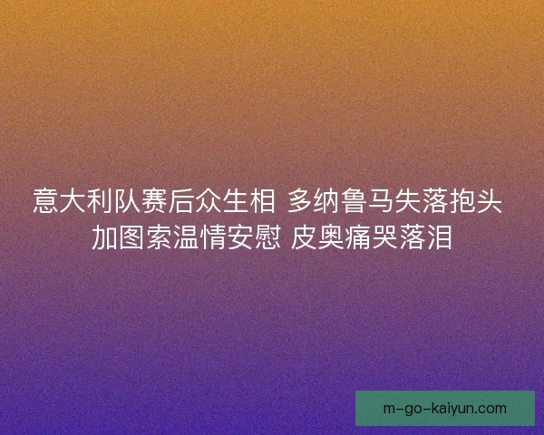 意大利队赛后众生相 多纳鲁马失落抱头 加图索温情安慰 皮奥痛哭落泪